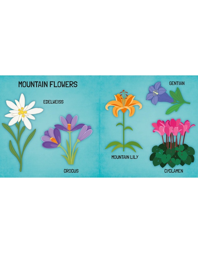 Sassi - Learn all about The Flowers 3D Puzzle and Book Set 40 Pieces