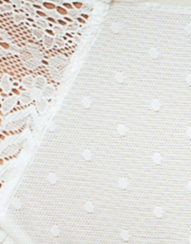 Parfait - Mia Sheer Mesh & Lace Hipster Brief