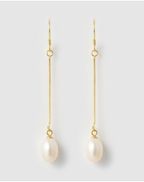 Izoa - Petra Drop Hook Earrings