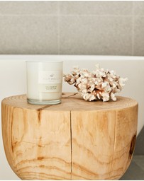 Palm Beach Collection - Clove & Sandalwood Scented Candle 420g
