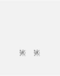 Daniel Wellington - Mirelle Solitaire Stud Earring
