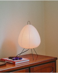 Dennis Did It - Absolutely Necessary Lamp
