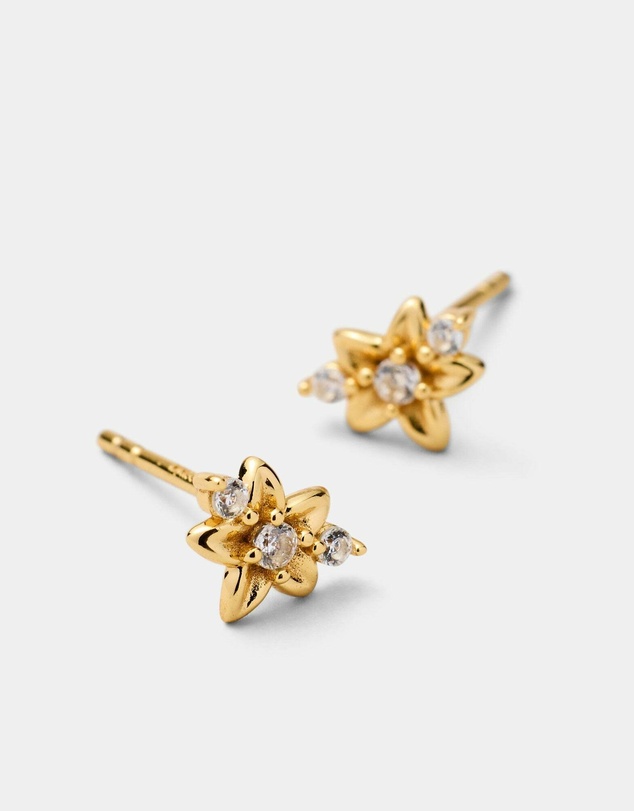 MIMCO - Asteria Stud Earrings