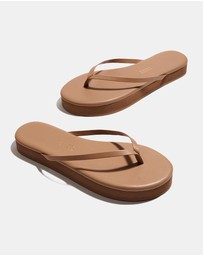 Tkees - Lily Platform