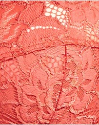 Sans Complexe - Arum Underwired Balconette Lace Bra