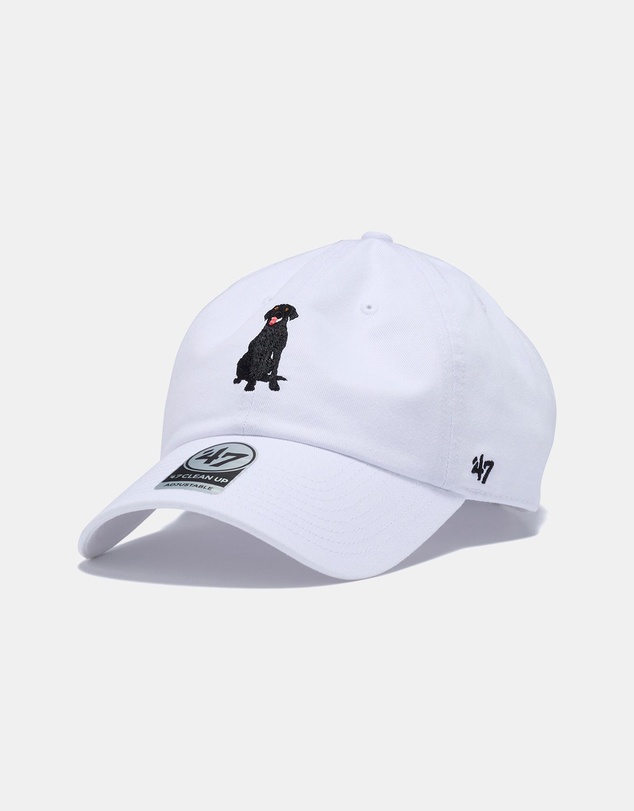 47 - Clean Up Icons Labrador Cap