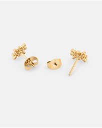 Daniel Wellington - Mirelle Star Earring G