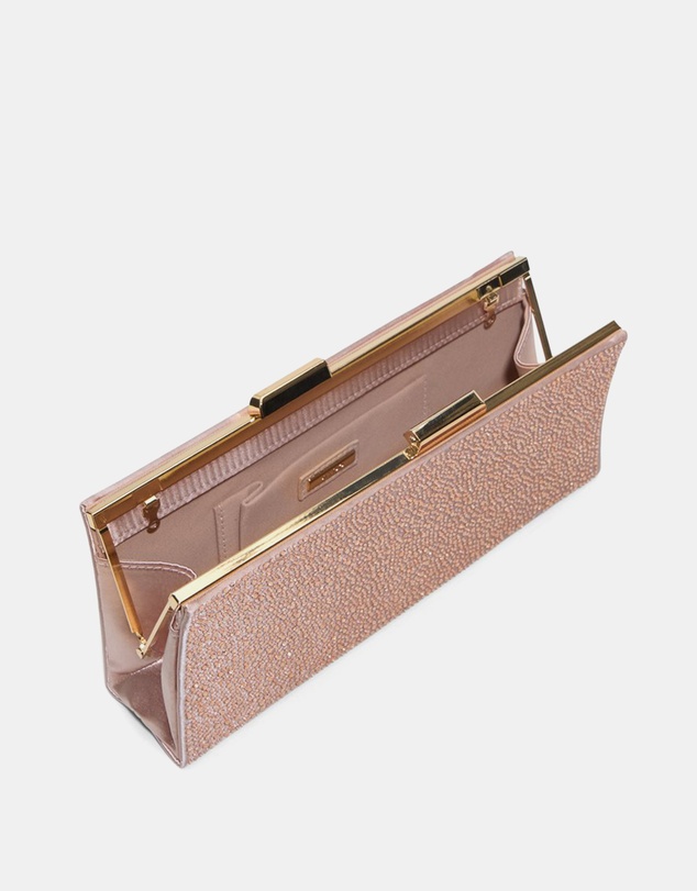 ALDO - Lunanoor Clutch