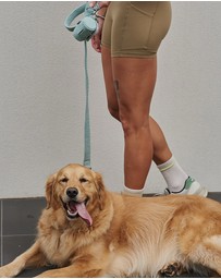 Lilly + Dash - Boucle Dog Leash 150cm Harness