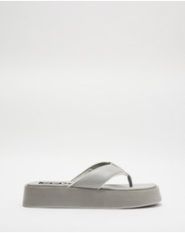 Senso - Paxton