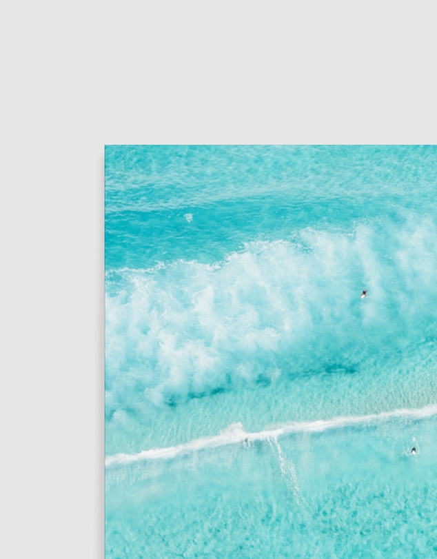 Olive et Oriel - Bondi Bliss Art Print