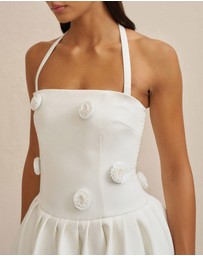 BY JOHNNY. - Anita Spot Halter Dress