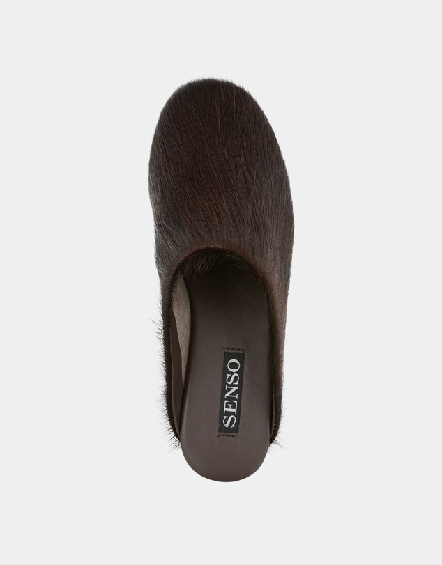 Senso - Caelan