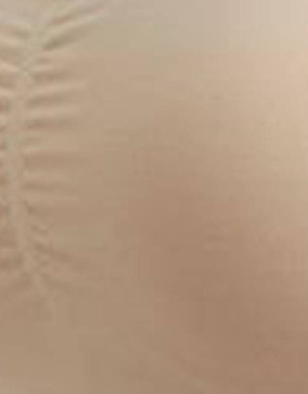 Naomi & Nicole - No 'Side Show' Crop Top Style Shapewear Bralette