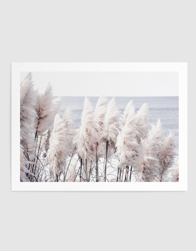Olive et Oriel - Pampas By The Sea Art Print
