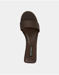 Senso - Gracey