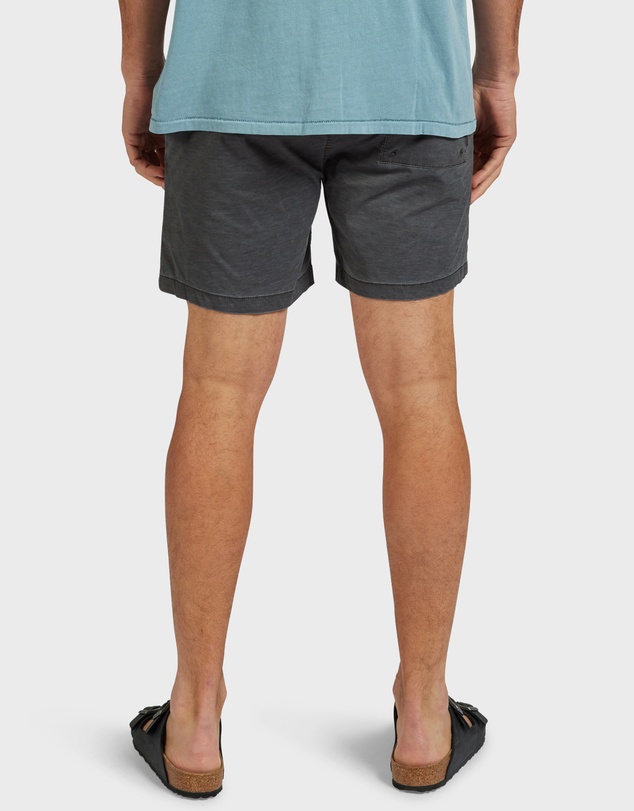 Academy Brand - Teamster Boardy