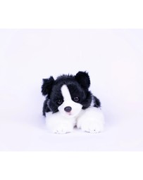 Animal Allsorts - Jasper Border Collie
