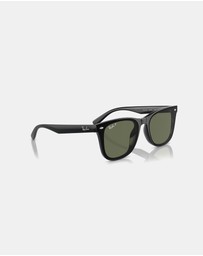 Ray-Ban - 0RB4420