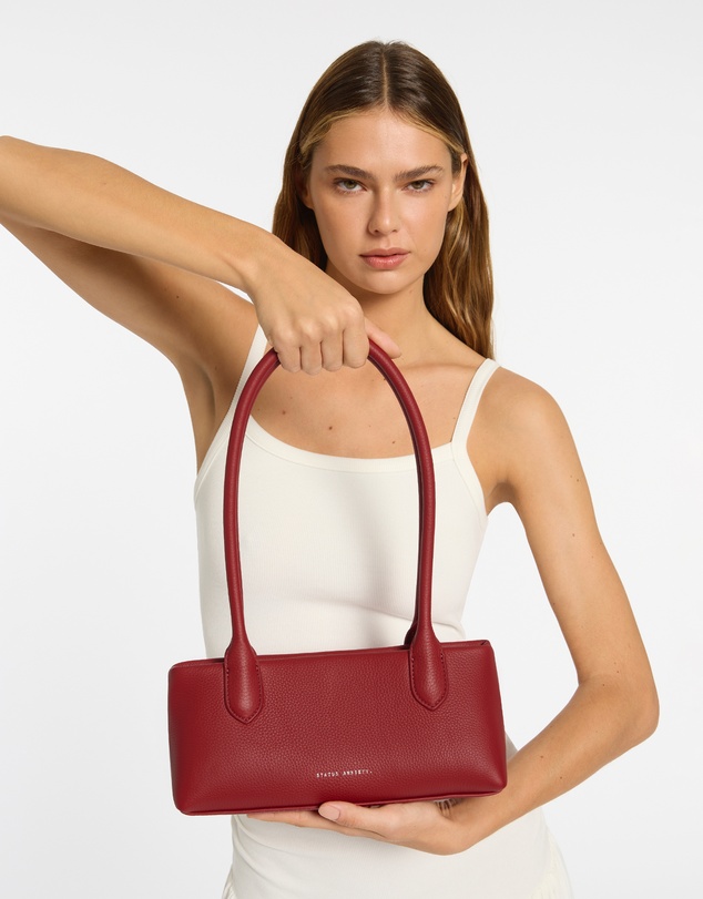 Status Anxiety - The Lost Bag
