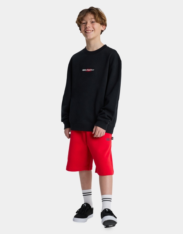 Quiksilver - Boys 8 to 16 Mercury Trident Crew Neck
