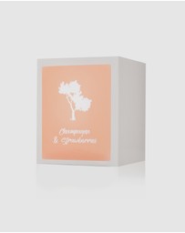 Silk Oil of Morocco - Champagne & Strawberries Luxe Natural Soy Candle
