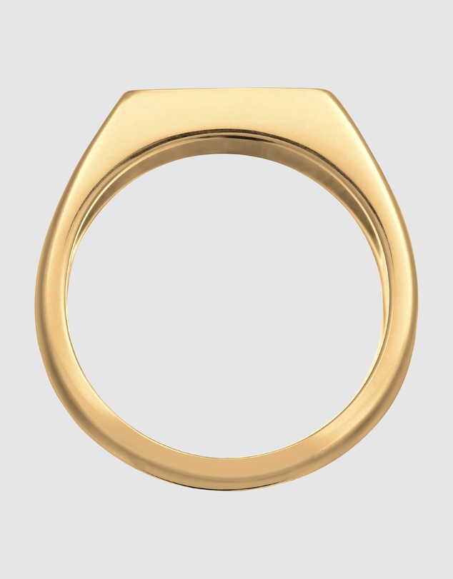 Kuzzoi - ICONIC EXCLUSIVE - Enamel Signet Ring in Gold-Plated 925 Sterling Silver