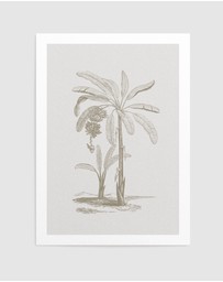 Olive et Oriel - Vintage Palm I Art Print