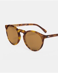 Otis - Omar - LIT Polarised