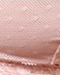 Passionata - Bella Triangle Cup Sheer Lace Bralette