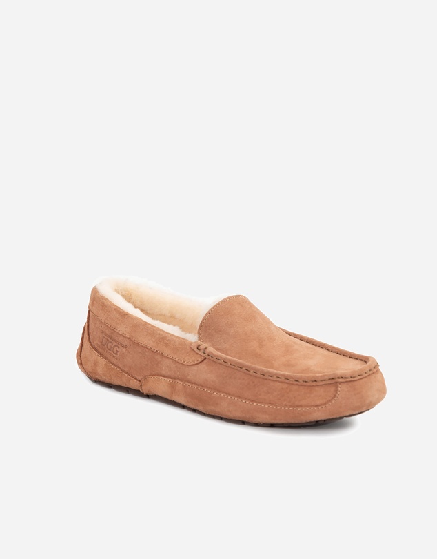 Ozwear Connection Uggs - Ugg Denver Men's Moccassin (Water Resistant)