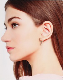 ALDO - Lionade Earrings