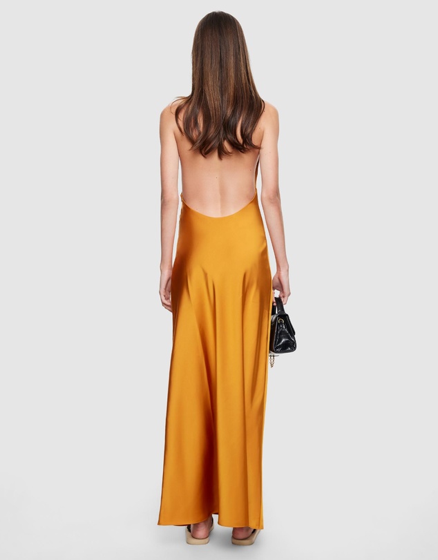 Lioness - Bare Maxi Dress