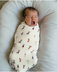Kynd Baby - Large Stretchy Swaddle in Dachshund