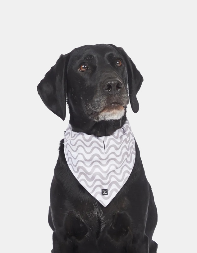 Mog & Bone - Dog Bandana - Mocha Wave print
