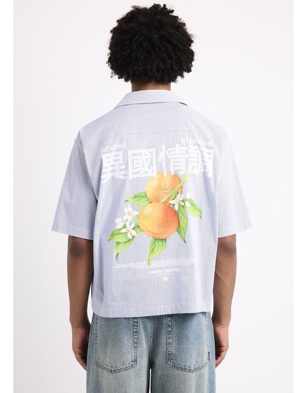 Arvust - Honolulu Cropped Shirt