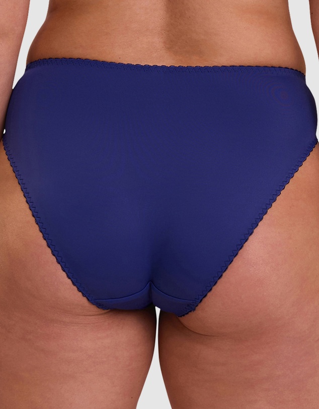 Sans Complexe - Narcisse Plus Size Classic Brief with Embroidery