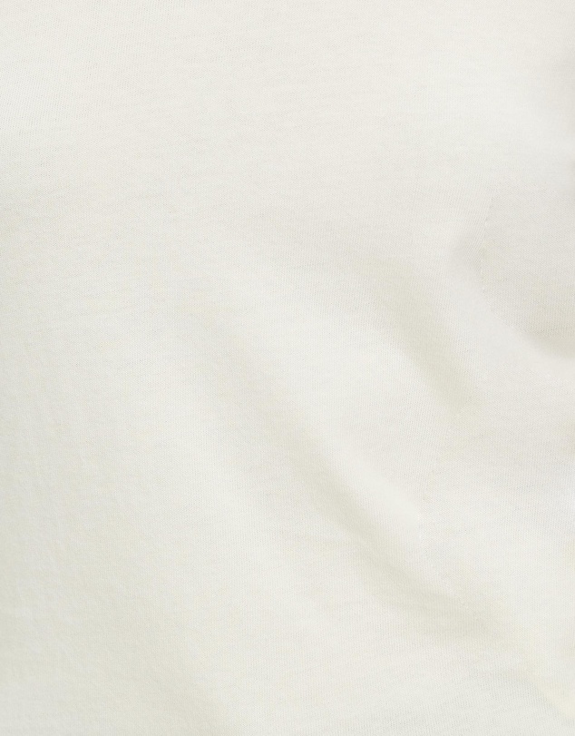 Brixton - Carefree Organic Slim Crew Tee