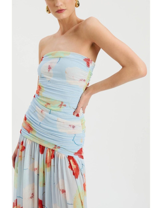 Bardot - Solana Printed Mesh Maxi Dress