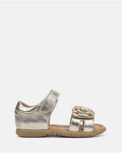 Soft Gold E