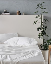 Linen House - Tencel 375TC Sheet Set