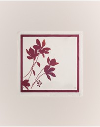 Trenery - Wren Floral Silk Scarf in White