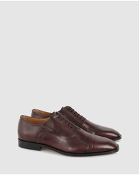 Brando - Barnet Lace Ups