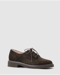 Edward Meller - PAOLO Lace Up
