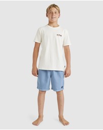 Billabong - Boys 8 to 16 All Day Overdye Layback 16