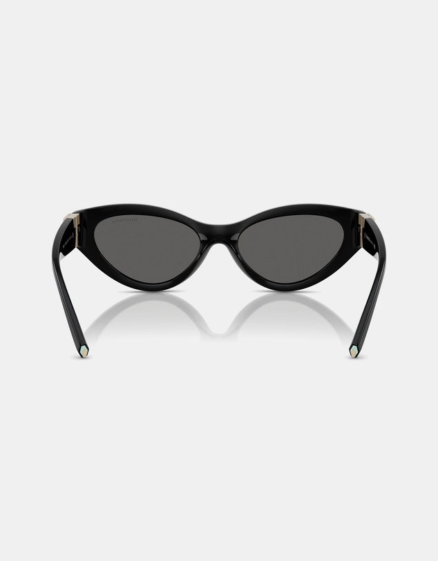 Tiffany & Co. - 0TF4225U