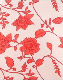 Petal & Pup - Enala Maxi Dress - Red Floral