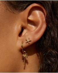 Arms Of Eve - Starfish Gold Studs