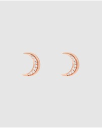 Emporio Armani - Rose Gold tone Earring