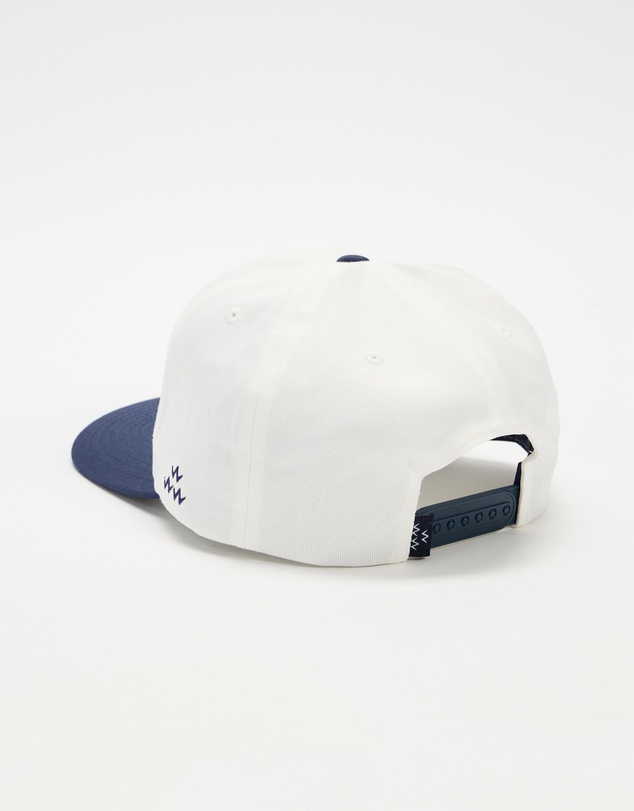 Birds of Condor - Northwest Snapback